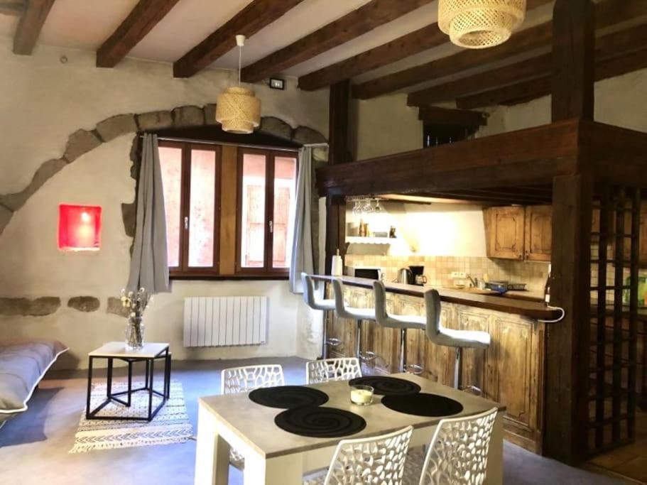 L'Atypique, Bord Du Thiou Apartment Annecy Bagian luar foto